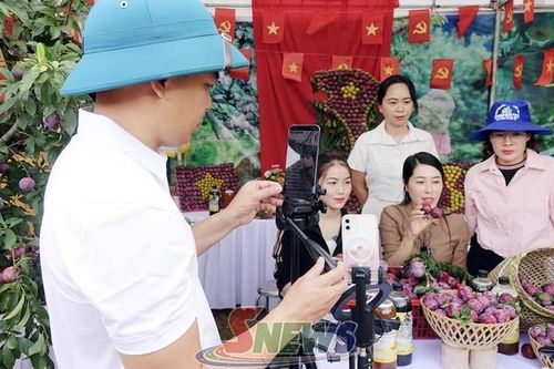 Nâng cao năng lực số cho HTX nông nghiệp