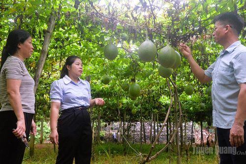 Nghị quyết sát việc, chi bộ sát Dân