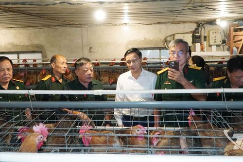 Thăm, động viên doanh nhân cựu chiến binh phát triển kinh tế