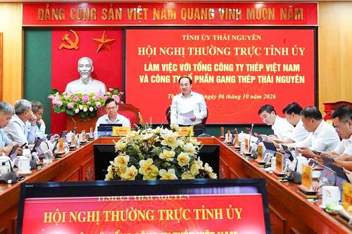 Bàn giải pháp tháo gỡ khó khăn tại Dự án Gang thép giai đoạn 2