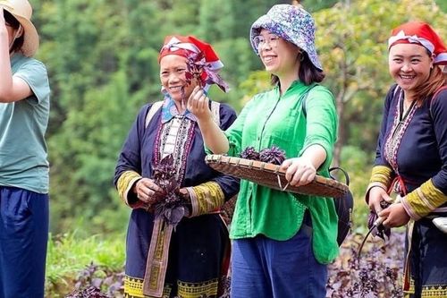 Liên kết HTX và doanh nghiệp: Bệ phóng cho chuỗi giá trị bản địa và giảm nghèo bền vững
