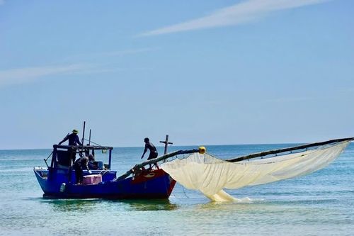 Rộn ràng mùa ruốc trên biển Bảo Ninh