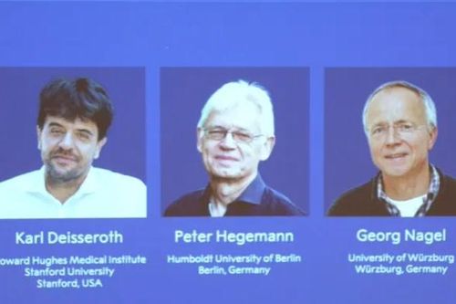 Nghiên cứu di truyền học quang học giành giải Nobel Y sinh 2026