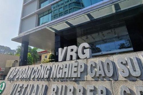 Cao su Việt Nam (GVR) ước lãi hơn 6.800 tỷ đồng, lợi nhuận cả năm dự báo vượt 52% kế hoạch