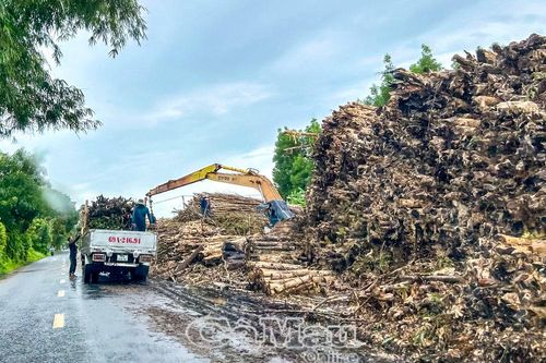 Tạo đột phá trong sản xuất nông - lâm - ngư nghiệp