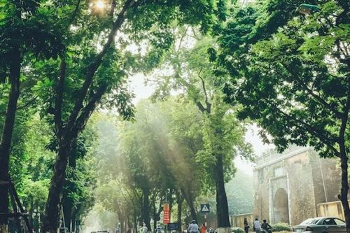 Gửi Hà Nội: Nơi thời gian ngưng đọng sau những đại lộ