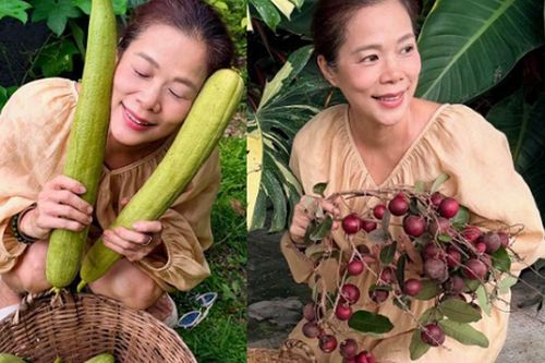 Nữ ca sĩ từng chạy 8-9 show/ngày, nay là Phó Chủ tịch tập đoàn, sở hữu khu vườn trái sai trĩu, hái không kịp