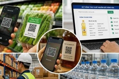 Từ 15/11, doanh nghiệp thực phẩm thực hiện quy định mới về cơ sở dữ liệu, truy xuất nguồn gốc
