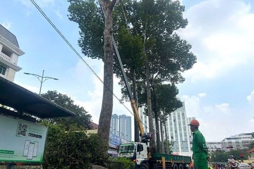 TPHCM: Đề phòng những tai nạn bất ngờ trong mùa mưa