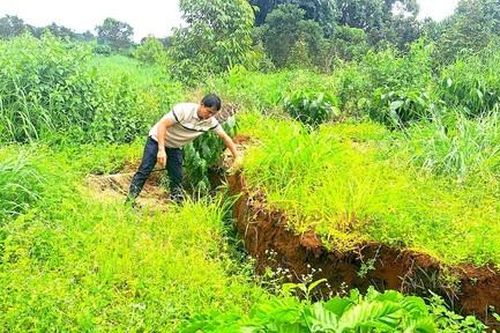 Vụ sụt lún tại Đức Cơ: Khoanh vùng cảnh báo, đề nghị khảo sát chuyên sâu
