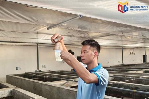 Quảng Ninh đẩy mạnh ứng dụng khoa học, công nghệ vào sản xuất nông nghiệp.