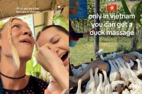 Khách Tây đi massage vịt, cá ở Việt Nam khen 'kỹ thuật viên rất tốt, rất hài'