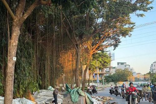 Rác thải tràn lan trên đường Nguyễn Văn Luyện