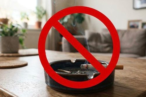 6 cách kiểm soát nguồn ô nhiễm trong nhà để bảo vệ đường hô hấp