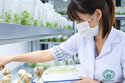 Ứng dụng công nghệ trong lưu trữ, quản lý dữ liệu tài nguyên dược liệu