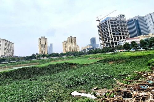 Đề xuất đánh thuế đất bỏ hoang gấp 7 lần đất ở trong hạn mức