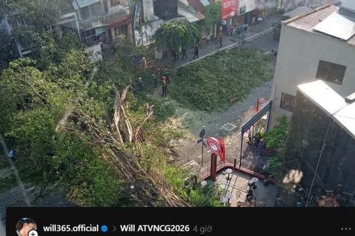 Xe của Anh Tài Will suýt gặp nạn trong vụ cây cổ thụ bật gốc, đổ xuống đường