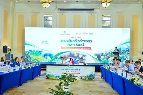 Chuyển đổi số tại các hợp tác xã: Phải có 'dữ liệu sạch' mới tạo được 'giá trị thật'