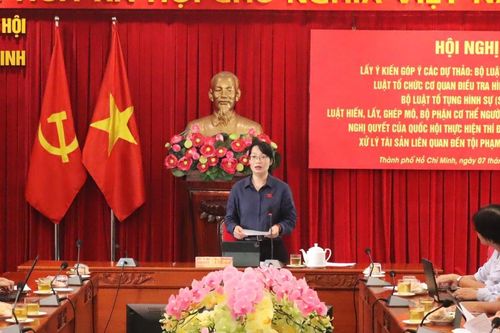 TPHCM: Góp ý 5 dự thảo luật, bộ luật và nghị quyết