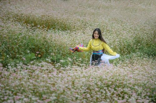 Lũng Cú sẵn sàng đón du khách mùa hoa tam giác mạch