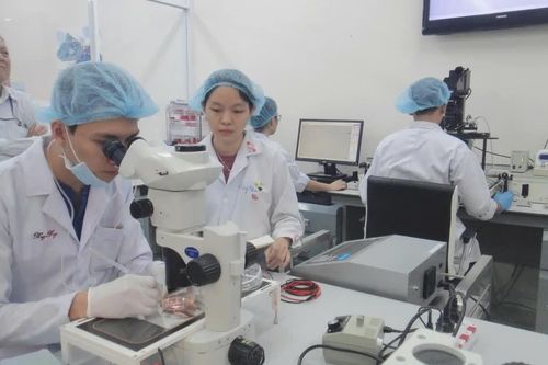 Bài toán nhân lực trong bối cảnh mới của Thành phố Hồ Chí Minh
