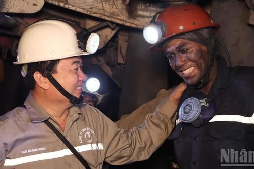 Thúc đẩy tiến độ sản xuất, đầu tư tại Công ty Than Hạ Long và Hà Lầm