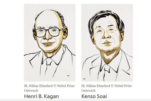 Nobel Hóa học 2026 vinh danh nghiên cứu về hiệu ứng phi tuyến tính và tự xúc tác trong tổng hợp hữu cơ bất đối xứng