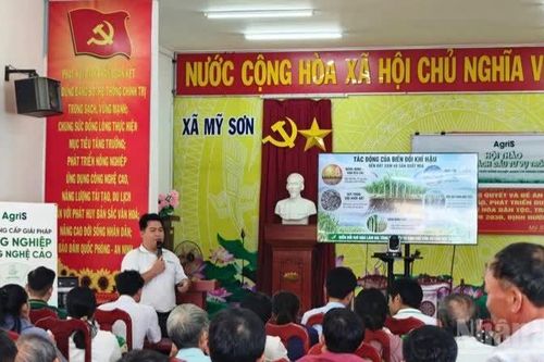 Đồng hành cùng nông dân vượt khó, khôi phục vùng mía nguyên liệu