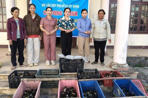 Hỗ trợ sinh kế cho các hộ dân có hoàn cảnh khó khăn