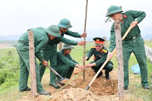 Khi người lính về làng, cùng dân dựng màu xanh