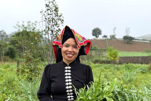 Bỏ mức lương 22 triệu, nữ giám đốc người Thái 'đổi đời' từ rau 'thuận thiên'