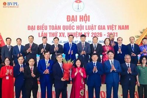 Xây dựng Hội Luật gia Việt Nam ngày càng vững mạnh, hoạt động thiết thực, hiệu quả