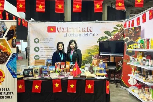 Xúc tiến thương mại: Lực đẩy đưa càphê Việt tiến sâu vào chuỗi giá trị toàn cầu