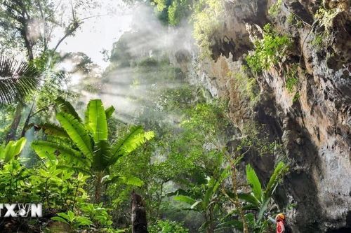 Quảng Trị: Cảnh báo website giả mạo bán tour thám hiểm Sơn Đoòng
