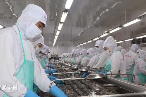 Cà Mau tăng tốc trong quý 4, hướng tới mục tiêu tăng trưởng trên 10%