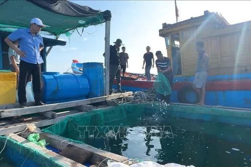 Đa dạng đối tượng nuôi, tăng chống chịu cho kinh tế biển