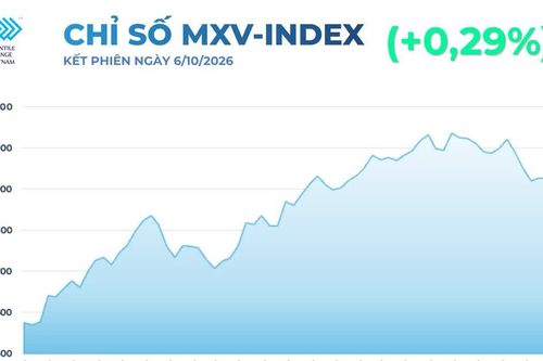 Đường lập đỉnh 19 tháng, nhóm họ đậu đồng loạt tăng giá