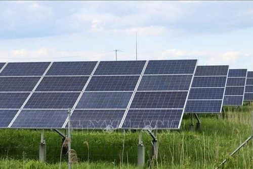 Làn sóng điện sạch giá rẻ tái định hình bản đồ năng lượng toàn cầu