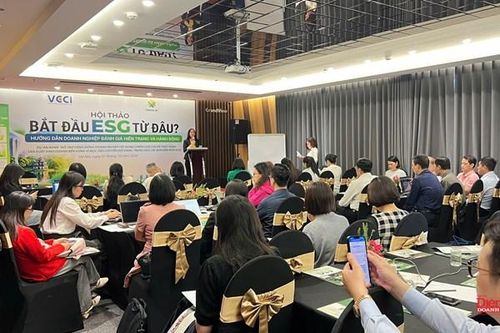 Thực hành ESG tại doanh nghiệp nhỏ và vừa: Đánh giá đúng thực trạng để bắt đầu