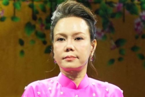 Vị trí khó thay thế của nghệ sĩ Việt Hương
