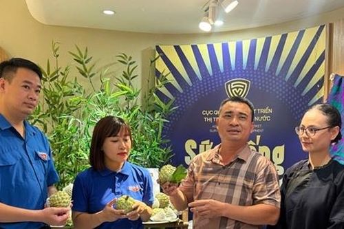 Đưa hàng Việt lên phố 'hàng hiệu': Từ sức mua đến niềm tin người tiêu dùng