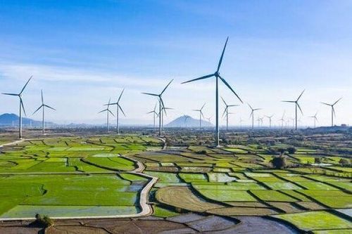Kosy thoái sạch vốn tại công ty điện có tài sản gần 1.200 tỷ đồng