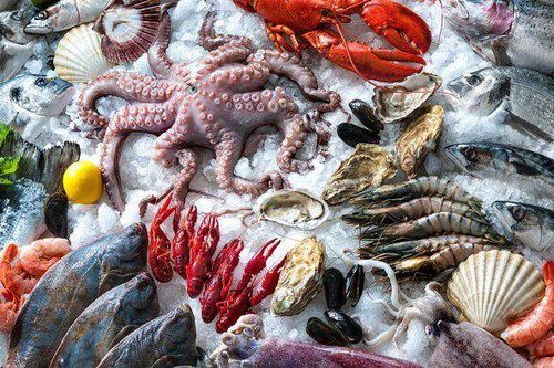 Trung Quốc dự kiến giảm thuế với thủy sản Mỹ