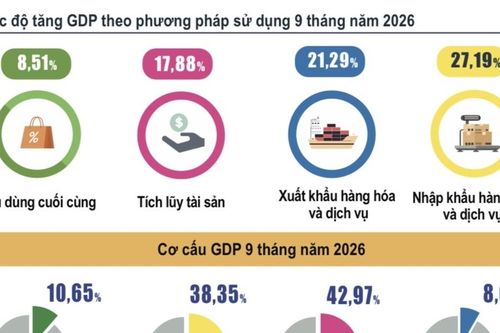 Cần nguồn lực khác để duy trì chu kỳ tăng trưởng cao