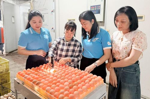 Bắc Ninh: Mở rộng cơ hội cho phụ nữ khởi nghiệp