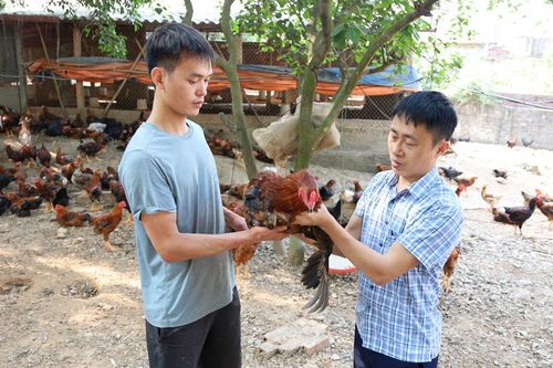Từng bước thay đổi nhận thức về phúc lợi động vật
