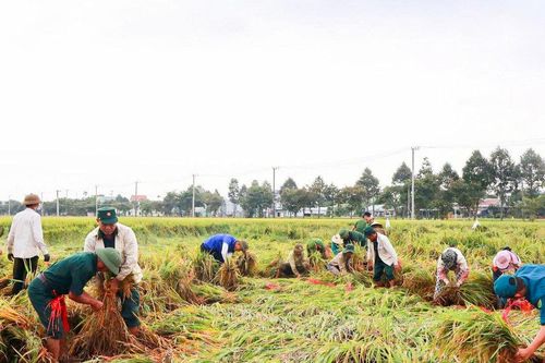 Gỡ tâm lý 'sợ sai', Hà Nha xắn tay giải quyết việc khó cho dân