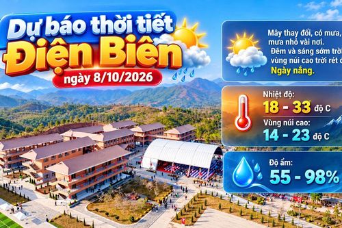 Bản tin Dự báo thời tiết ngày 8/10/2026