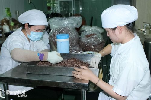 Nhiều hoạt động hỗ trợ doanh nghiệp