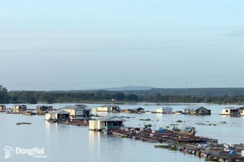 Triều cường hạ lưu sông Đồng Nai lên cao xấp xỉ báo động 2